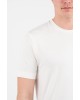 T-shirt Vittorio άσπρο ΚΟΝΤΟΜΑΝΙΚΕΣ