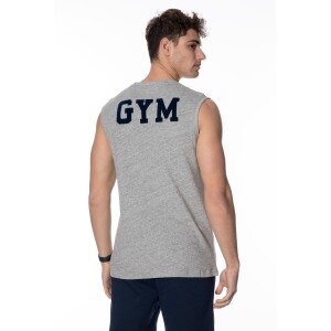T-shirt Superdry Γκρι T-shirt Superdry Γκρι