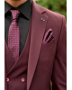 Κοστούμι Black Papigion μπορντό SLIM FIT